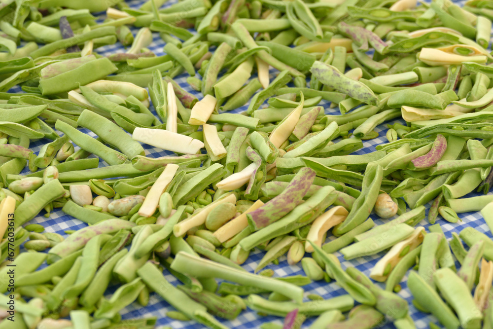 chopped green beans left to dry in the sun, chopped green beans left to dry in the sun,
