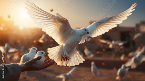 dove of peace HD 8K wallpaper Stock Photographic Image 