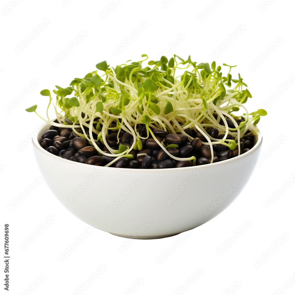 Fresh little tree on pots isolated on transparent background Fresh little tree on pots isolated on transparent background