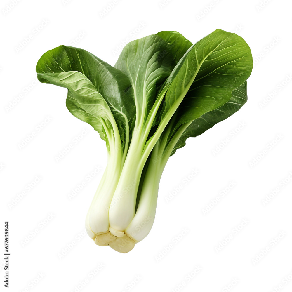 Fresh bok choy isolated on transparent background Fresh bok choy isolated on transparent background