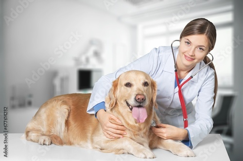 Fototapeta Naklejka Na Ścianę i Meble -  Vet doctor examining cute smart dog in clinic