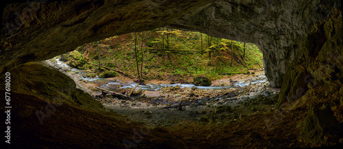 Cave opening in the forest
