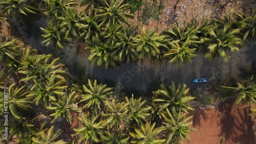 aerial view of blue boats running on the Cokel river, Pacitan, Indonesia. The river has coconut trees on its banks. photo