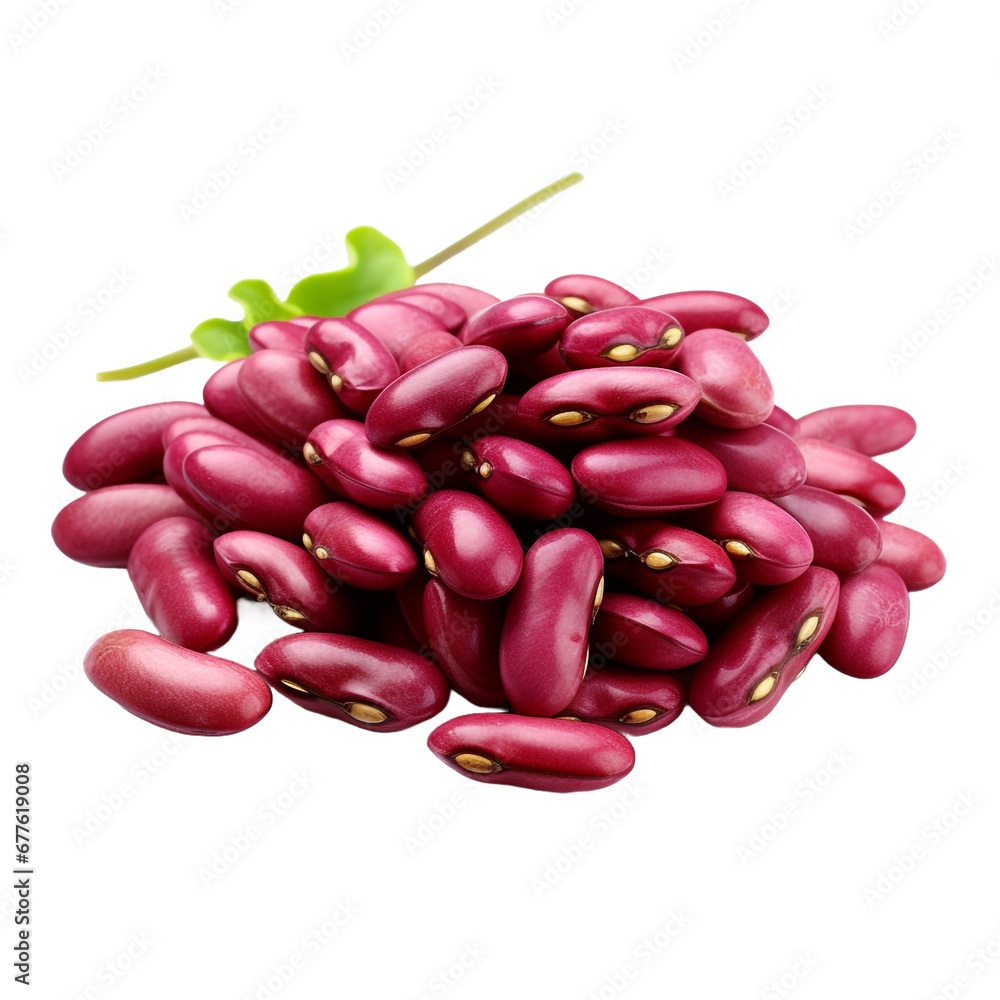 Fresh cranberry beans isolated on transparent background Fresh cranberry beans isolated on transparent background