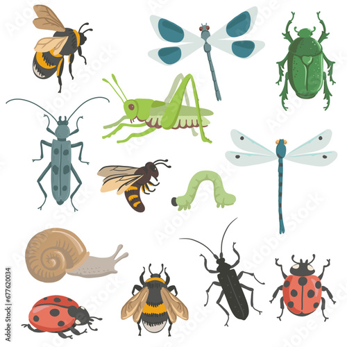 vector drawing set of insects, bugs, dragonflies, bee, caterpillar and grasshopper isolated at white background, hand drawn illustration © cat_arch_angel