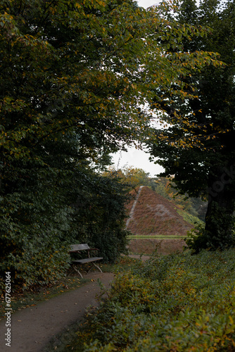 path in autumn forest