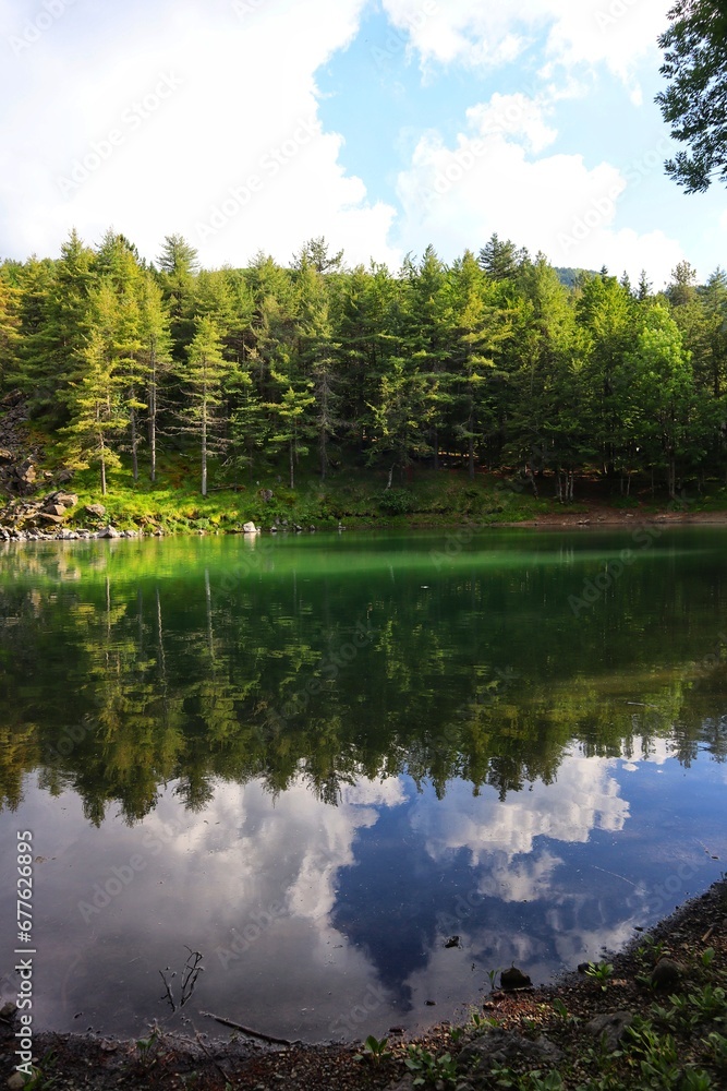 lake and forest lake and forest