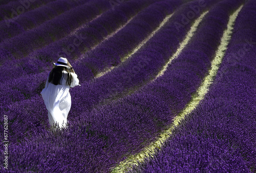 Im Lavendel Feld