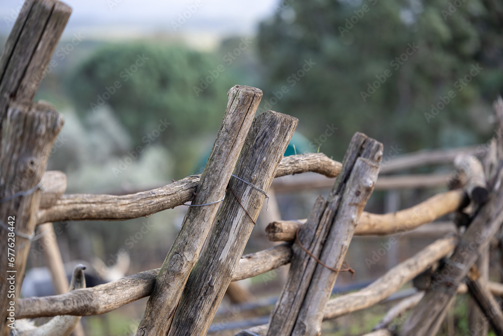 Fototapeta premium Rustic wooden fence in the countryside details