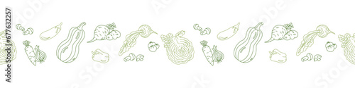 Plant-based seamless border with green veggies in doodle style. Vector flat illustration on transparent background