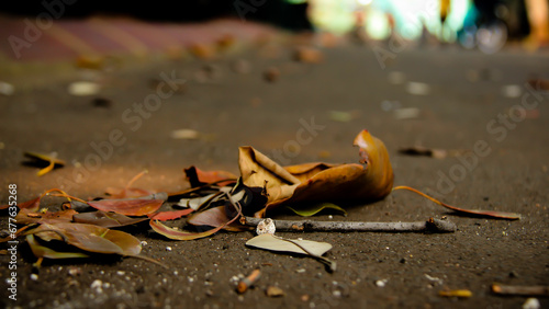 Wallpaper and Background Autumn Leaves, Dry leaves, leaf litter, piles of leaves. 