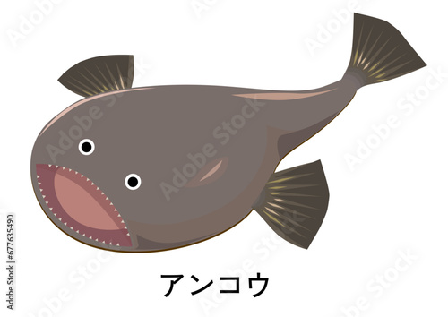 アンコウのイラスト