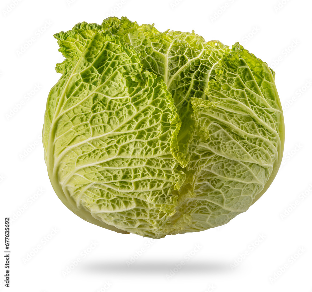 Savoy cabbage isolated Savoy cabbage isolated