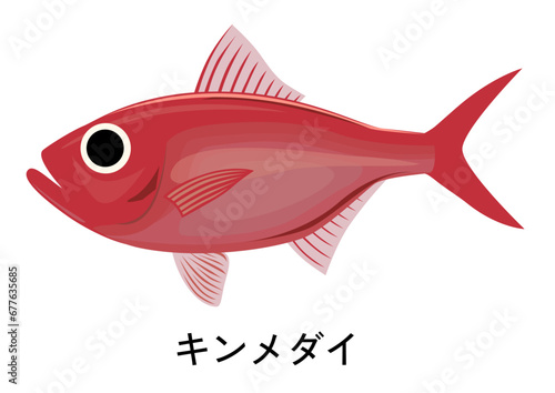 キンメダイのイラスト