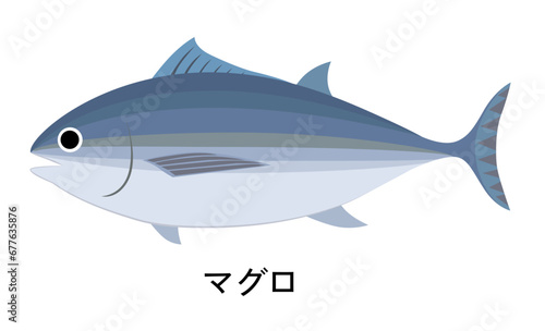 マグロのイラスト