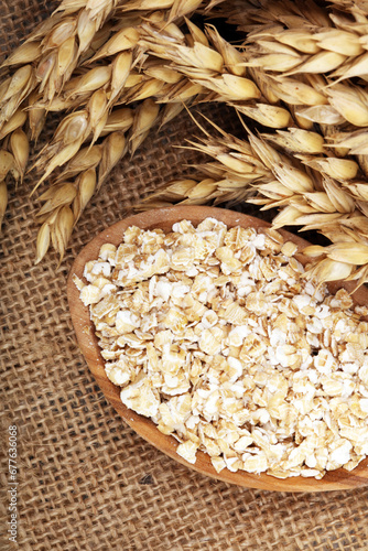 Oat flakes or rolled oats and golden ears of wheat. Healthy lifestyle, healthy eating, vegan diet concept