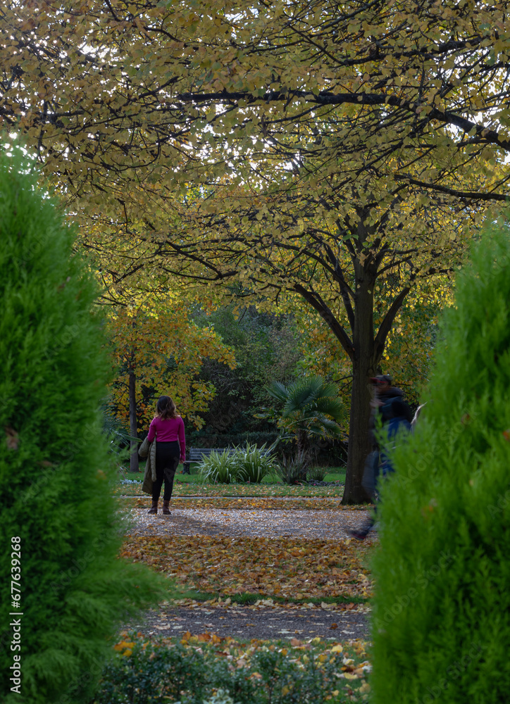 Back view of lonely woman in a pink shirt and black pants stand and watching nature in Autumn park. Outdoor autumn landscape, Space for text, No focus, specifically.