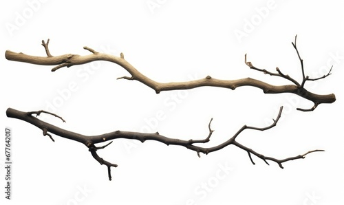 branches  set of twigs isolated on white background  Generative AI