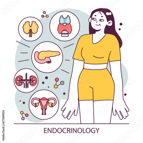 Endocrinology. Endocrine system organs, pancreas thyroid gland, pituitary, adrenal gland and ovaries. Hormone and glucose level monitoring. Healthcare and medical treatment. Flat vector illustration