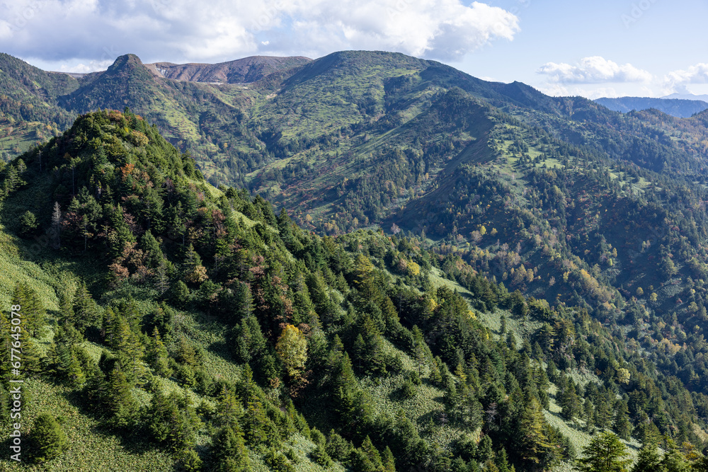 View of autumnal leaves of Shiga Kogen. View of autumnal leaves of Shiga Kogen.