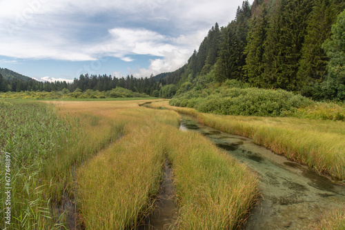 Colorful water at Nature reserve at Zelenci, Slovenia