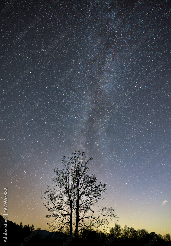 Milky Way in cades cove Milky Way in cades cove