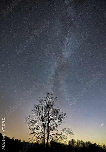 Milky Way in cades cove photo