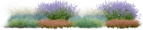 Realistic small garden. 3d rendering of isolated objects.
