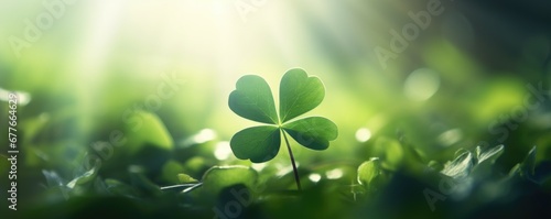 good luck clover leaf nature background photo
