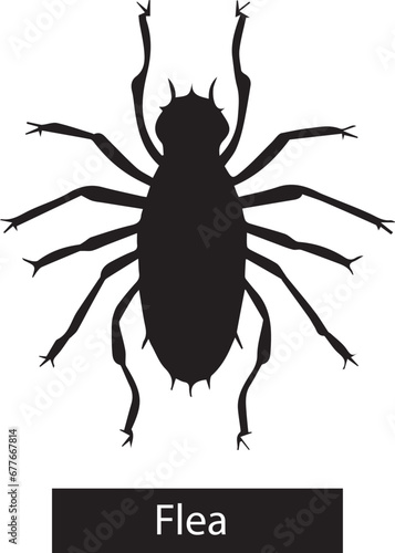 flea silhouette, Pest insect and bug spray symbol