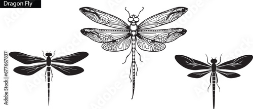 Dragon Fly silhouettes. insect Isolated on white background