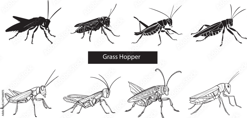 Grasshopper silhouettes set Insect silhouettes on white background Grasshopper silhouettes set Insect silhouettes on white background