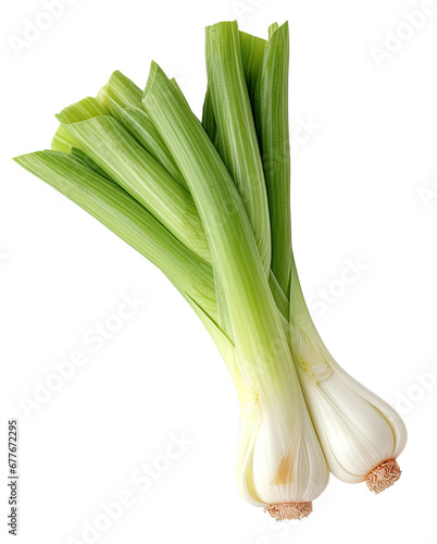 Scallion green onions or spring onions isolated on transparent background PNG. photo
