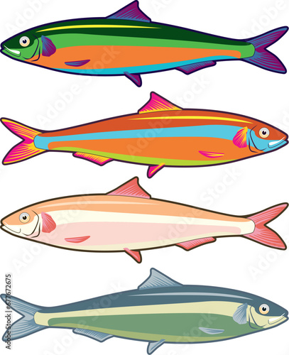 Stylized hand-drawn colorful sardine sideways in fancy colors