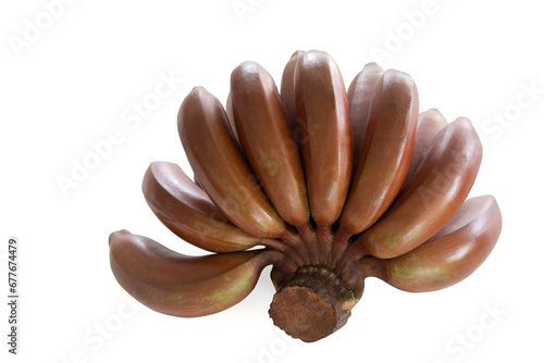 close up red  banana devil fruit isolated on white, Musa acuminata 'Red Dacca' photo