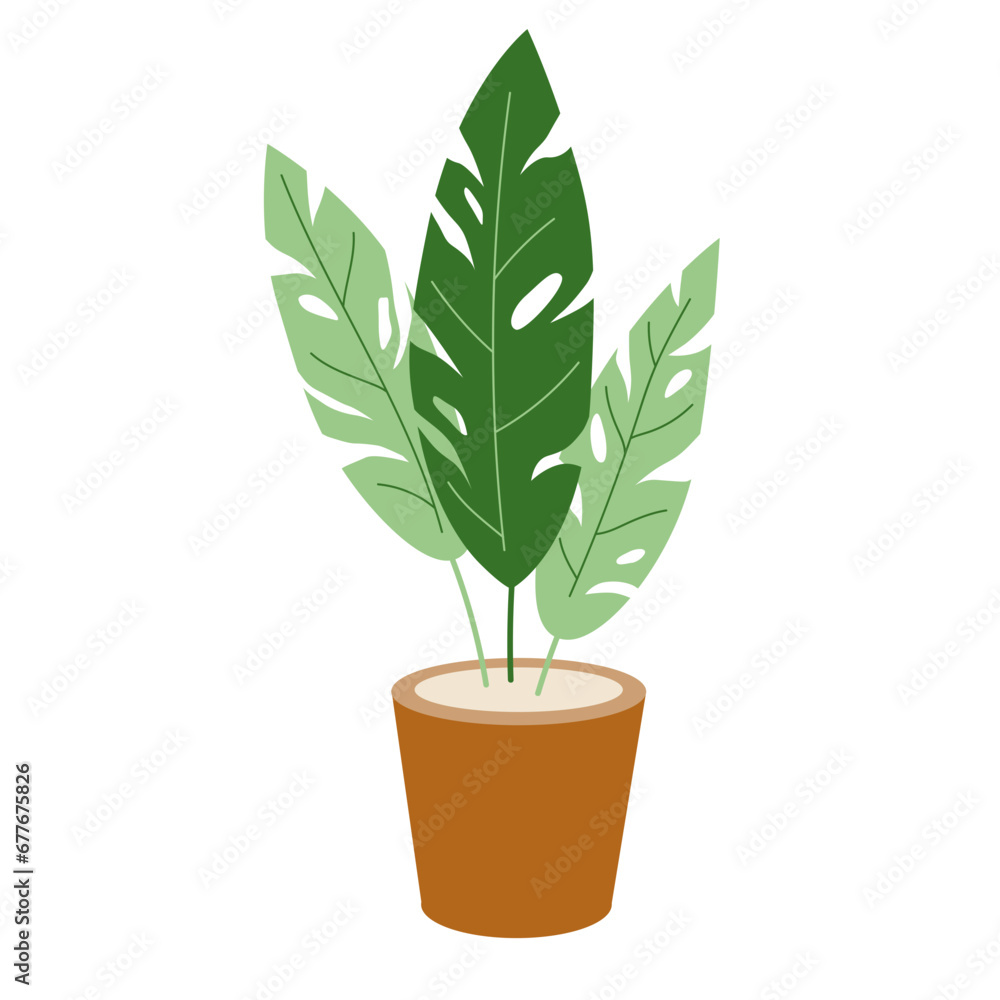 Potted Plant Potted Plant