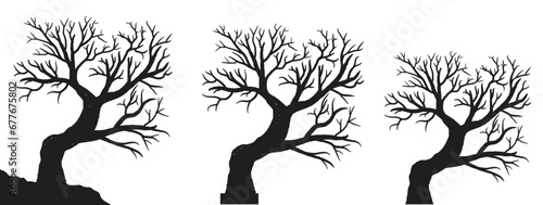 silhouette of dead tree vector illustration. silhouette of trees and branches without leaves. Bare Tree silhouette. Black Branch Tree vector. silhouette of a bare tree.	