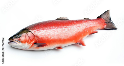 red salmon on a white background