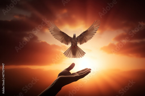 "Symbol of Freedom, Hands Releasing Dove into the Air"