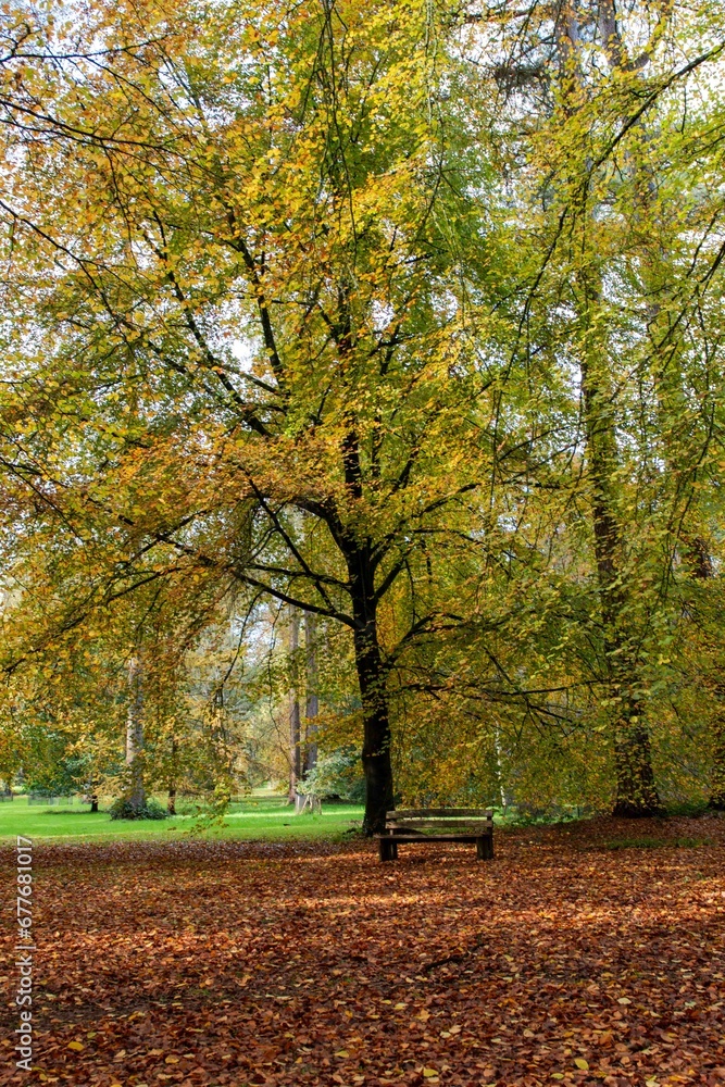 autumn in the park autumn in the park