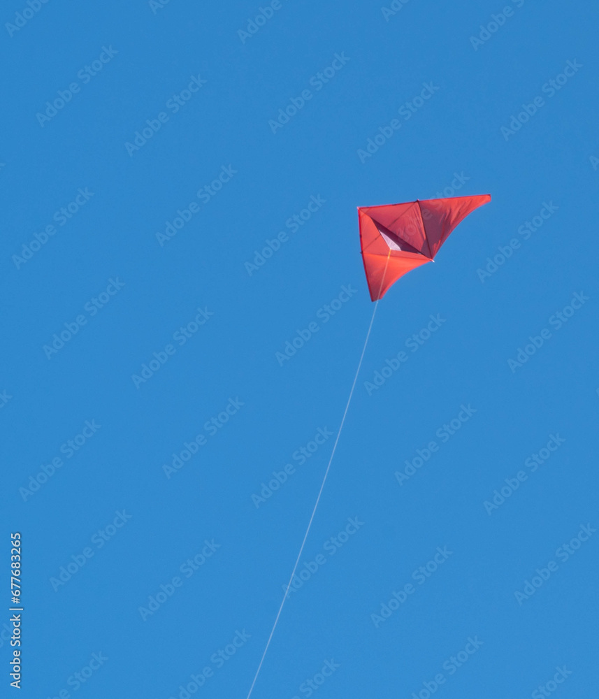 Obraz premium Red kite flying in the sky.