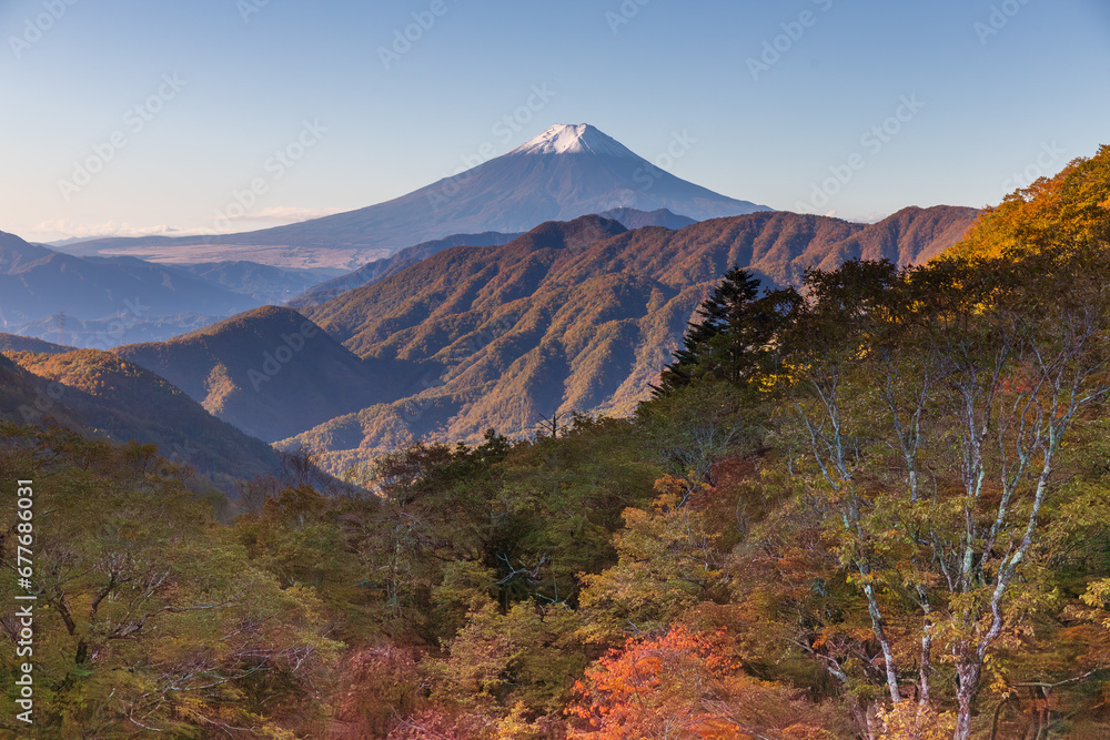 秋の雁ヶ腹摺山から夜明けの富士山と紅葉
