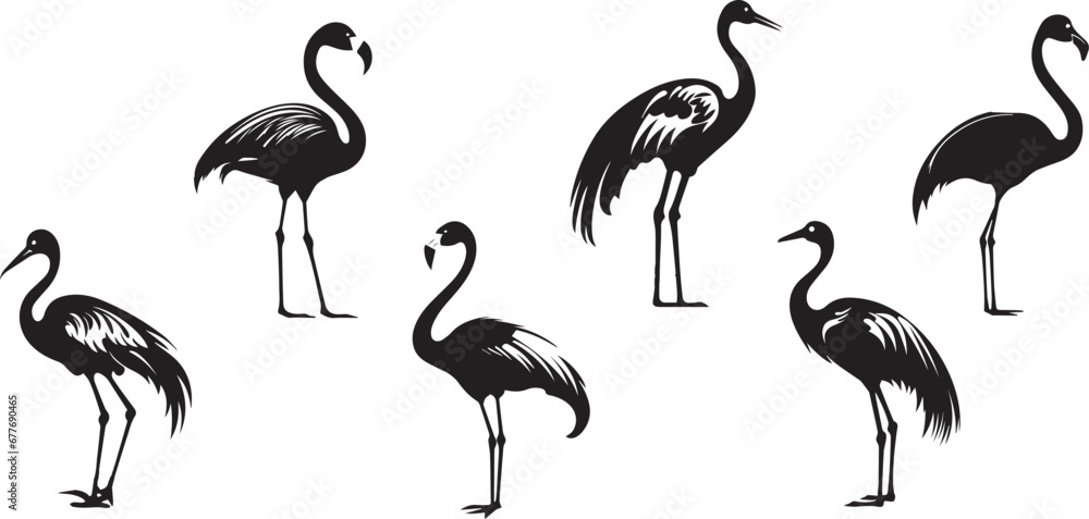Fototapeta premium Set Vector collections black flamingo birds silhouette animal icon illustration