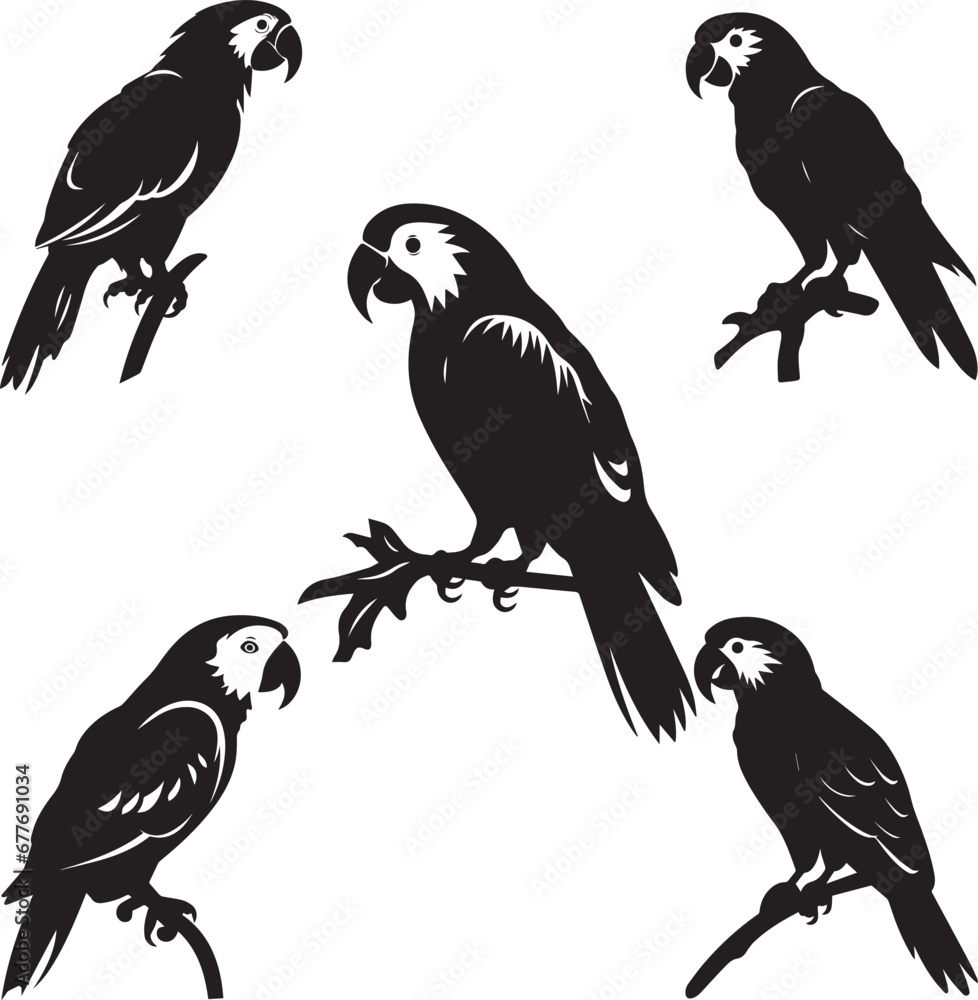 Vector parrot silhouettes on white
