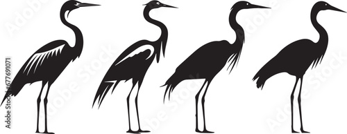 silhouette of a bird, heron silhouettes set, 4 silhouettes of heron photo
