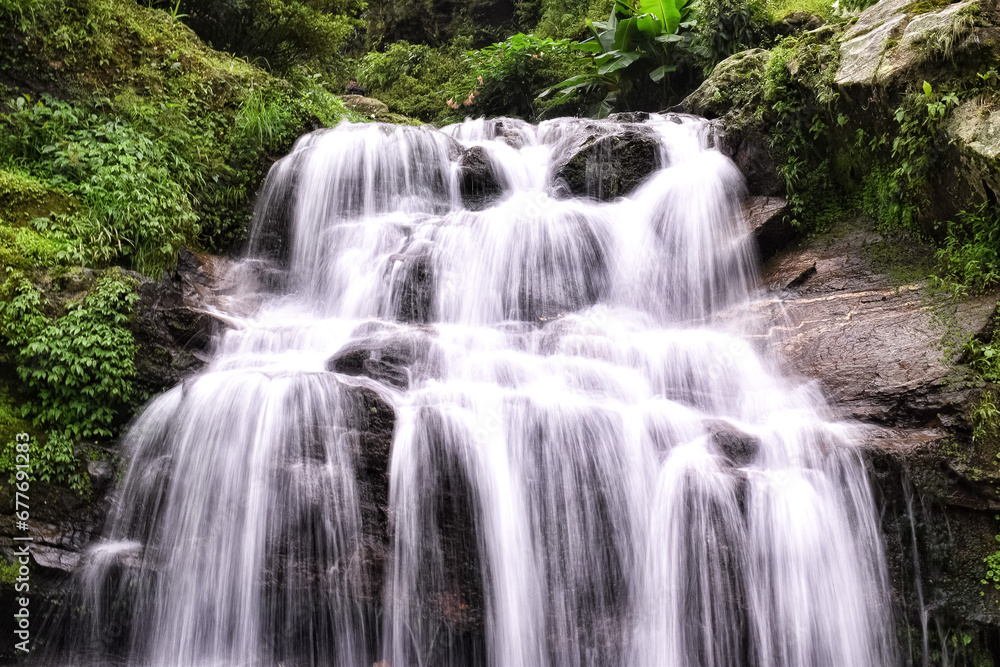 waterfall in the forest surrounded by leaf and trees 