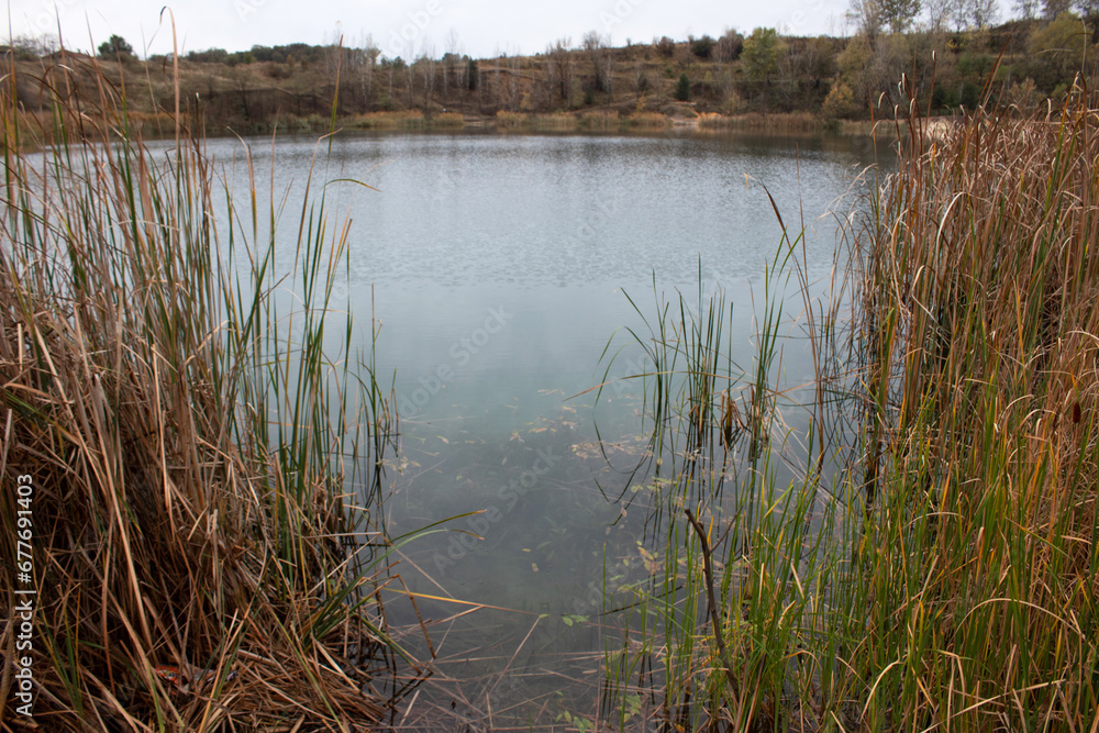 Panorama of the lake with bulrush. View through burlish. Autumn landscape. Panorama of the lake with bulrush. View through burlish. Autumn landscape.