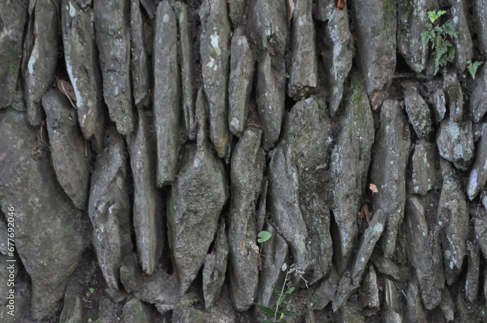 dark brown tree bark wood texture background