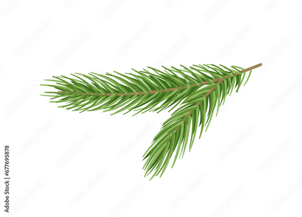 Pine branch concept. Part of Christmas tree. Forest and wildlife, flora. Nature and ecosystem. Winter plant for holidays. Cartoon flat vector illustration isolated on white background Pine branch concept. Part of Christmas tree. Forest and wildlife, flora. Nature and ecosystem. Winter plant for holidays. Cartoon flat vector illustration isolated on white background
