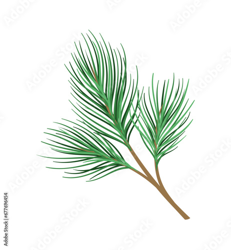 Pine branch concept. Part of Christmas tree. Forest and wildlife  flora. Nature and ecosystem. Beauty  elegnace and aesthetics. Cartoon flat vector illustration isolated on white background